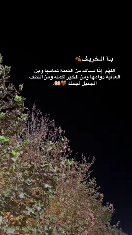 #اللهم_امين #یارب_العالمیــــــــــن🤲🏻🥺 