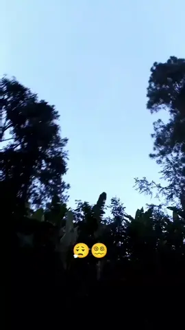 #avioncito 🛬😮‍💨😵‍💫