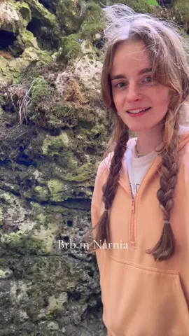#narnia #harrypotter 