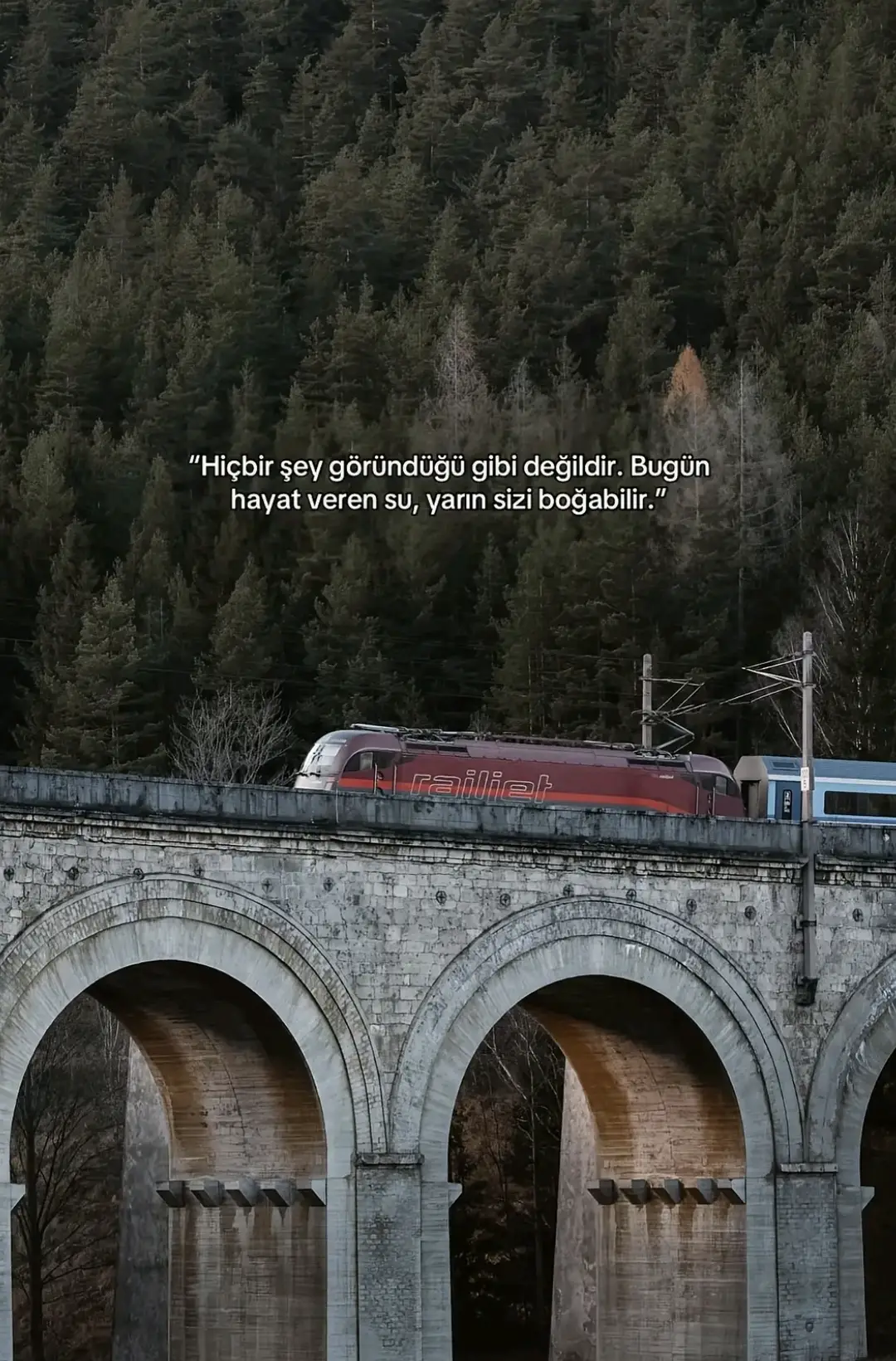 #kurtlarvadisi #çakır