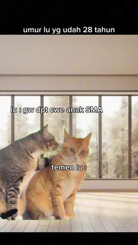ingat umur bang 🤣 #fyp #memekucing #memelucu #meme #kucing 