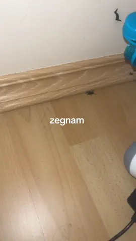 fuckin ass pajonk