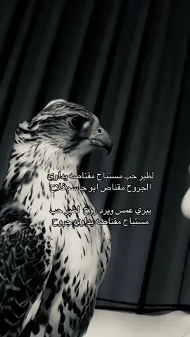 #اكسبلورexplore #parati #i #fypシ゚ #foruyou 