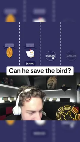 Last chance to save a bird! #kickstreaming #games 