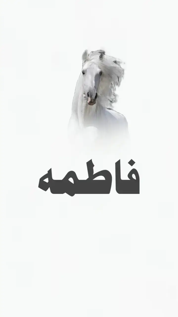 #مهنا_العتيبي شيلات_حماسيه شيلات_طرب شيلات_حماسيه_شيلات_طرب شيلة_حماسية #السعودية_الكويت_قطر_البحرين شيلة_رقص_بنت_سعوديه_حماسيه_2023 مهنا_العتيبي_صوت_الجزيره_اكسبلور شيلات_متعب_الخيل  شيلة_ترحيبيه شيلات_2024  شيلات_مهنا_العتيبي  شيلات_ام_العريس  شيلات_ام_العروس  شيلات_رقص_حماسية  شيلات_جديده  شيلات_طرب_حماسية  شيلات_رقص_بنات  شيلات_عز_السعود  شيلات_سعد_محسن  شيلات_طربيه_تشوش لطلب_او_الاستفسار_0541846907 شيلات_مناسبات_عامه السعودية_الكويت_الامارات_قطر_عمان_البحرين_ شيلات_تخرج_ام_العروس_ام_العريس_مواليد_عريس_عروس_خروج_من_المستشفى_من_ال  زواجات_تخرج شيلات_مواليد شيلات_ترحيبيه غريب_ال_مخلص بدر_العزي عبدالله_ال_فروان عبدالله_ال_مخلص ماجد_المهندس ماجد الرسلاني مهنا_العتيبي خالدال بريك الكويت_السعودية حسين_الجسمي راشد_الماجد_يا_ماخذة_قلبي_ راشد_الفارس راشد_الماجد  شيلة تخرج باسم سميه الكويت🇰🇼 السعودية🇸🇦 شيلة_تخرج_ولد شيلة_مولود شيلة_مولوده شيلة_مواليد_بالاسماء شيلة_تقاعد شيلة_تخرج_عسكري شيلة_رتبة_لواء شيلة_تخرج_ملازم شيلةرتبة_عميداول شيلةترقيه شيلات_ترحيب شيلات_ترحيبيه شيلات_ترحيبيه  شيلة_تخرج شيلةعريس شيلةعروس شيلةترحيب_للزواجات شيلة_ام_العريس شيلة_ام_العروس شيلة_تخرج_بنت شيلة_تخرج_ولد شيلة_مولود شيلة_مولوده شيلة_مواليد_بالاسماء شيلة_تقاعد شيلة_تخرج_عسكري شيلة_رتبة_لواء شيلة_تخرج_ملازم تصميم_شيله  حماسيه_شيلات_ام_العريس  قومي_العبي_ام_العريس  شيله_ام_العريس_جديده ش شيلةرتبة_عميداول شيلةترقيه شيلات_ترحيب شيلات_ترحيبيه شيلات_مدح زفه شيلة شيلات زفات تهنئه_ام_العريس  شيله_لام_العريس  شيله_لام_المعرس  زفة_ام_العريس  شيلات_لام_العريس  شيلة_باسم_ام_العريس  شيلة_لام_العريس  شيلة_باسم_ام_العريس_وبناتها  جديد   استديو_تنفيذ_شيلات شيله_رقص  شيلات_زواج_حماسيه  شيلات_حماسيه  يلات_خوات_العريس  شيله_خوات_العروس  شيلات_زواج خوات_العريس شيله شيلات_ترحيب  شيلات_زواج  شيلات_عريس  مناسبات_الكويت  مناسبات_قطر   مناسبات_زواج  تنفيذ_شيلات  شيلة تقاعد شيلات_خوات_العريس  شيله_خوات_العروس  شيلات_زواج   خوات_العريس شيلات_ترحيب شيلات_زواج شيلات_عريس   مناسبات_الكويت   مناسبات_قطر   مناسبات_زواج شيلة_تقاعد  زفات_تقاعد غنيه تقاعد اغاني_تقاعد  شيلة_عروس_حماسيه  شيله_عروس_رقص  شيلات_خوات_العروس  شيلة_مدح_خوات_العروسه  شيلات_ام_العروس  شيلات_ام_المعرس  شيلات_ترحيب   شلات_ملكه تهنئه_ام_العريس  شيله_لام_العريس  شيله_لام_المعرس  زفة_ام_العريس  استديو_تنفيذ_شيلات زفات  شيله_رقص 
