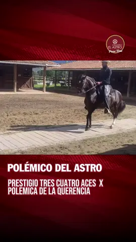 ✨ Les compartimos la evolución de POLEMICO DEL ASTRO 🐴 Hijo de Prestigio Tres Cuatro Aces x Polémica de la Querencia, un linaje que combina tradición y proyección hacia el futuro. 🌿 Cada paso en su proceso es fruto de paciencia, dedicación y el compromiso de seguir fortaleciendo nuestra pasión por el Caballo Criollo Colombiano. 💫 👉 Cuéntanos en los comentarios, ¿qué opinas de su desarrollo hasta ahora? #viveapasofino #aprendedelccc #trochapuracolombiana #caballoscolombianos #exposicionequinagradaa  