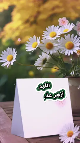 #حالات #ستوريات #صباحكم_سعادهـ🌸🍃 #صباح_الخير #صباحاتي 