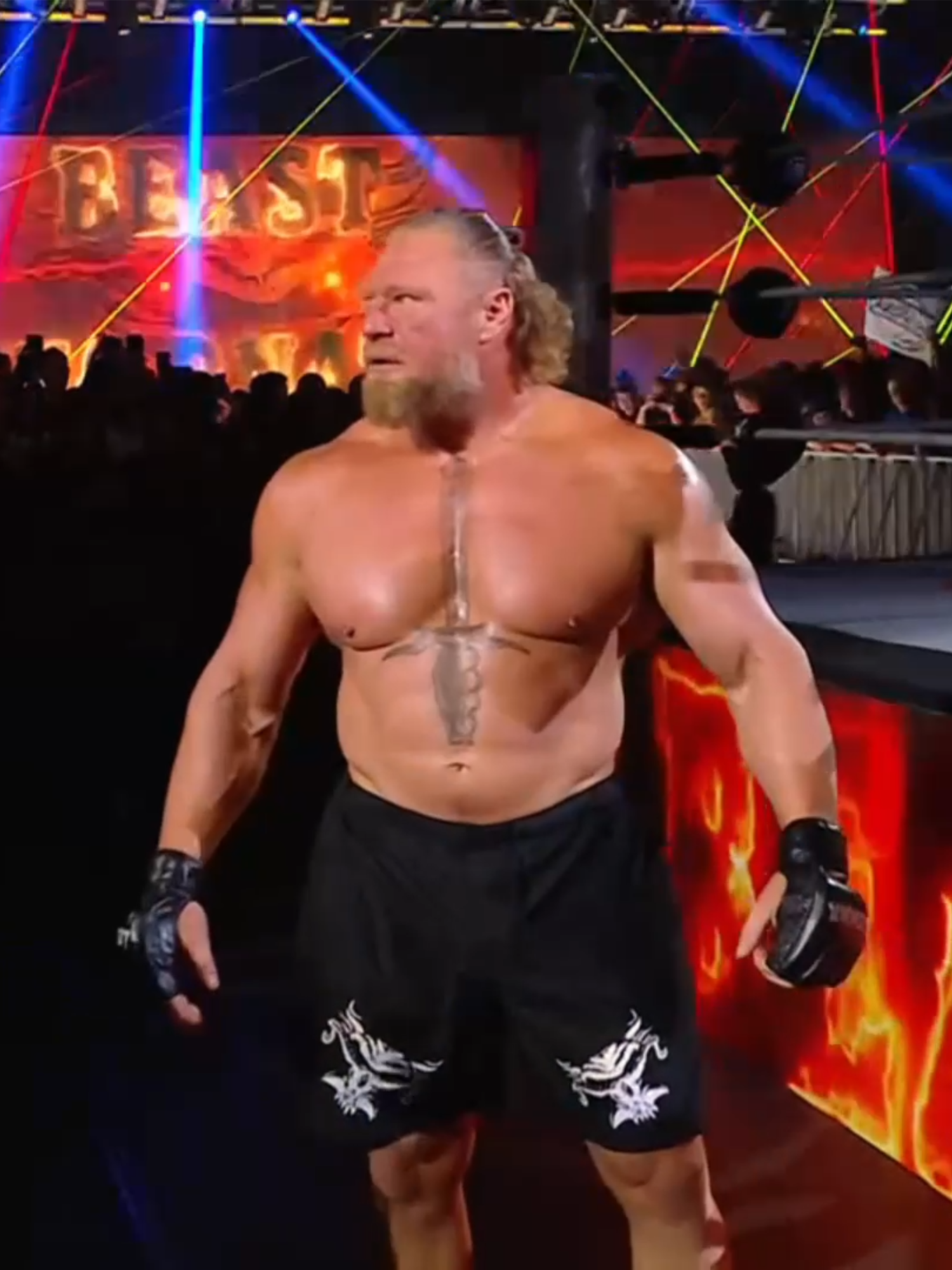 The Beast is here #wrestletok #prowrestling #wrestling #fyp #prowrestletok #wrestlingtiktok #wwefansoftiktok #wrestlingfans #wwefan #Brocklesner