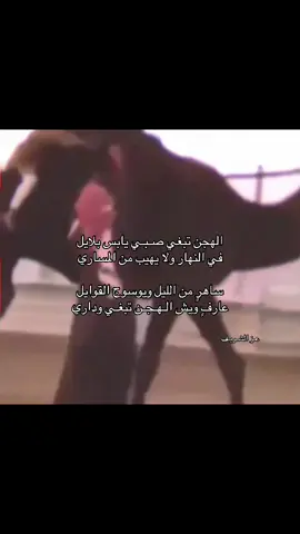 عارفٍ ويش الهجن تبغي وداري .#ارشيفات #جفران_المري #fyppppppppppppppppppppppp #fypage #fyp 
