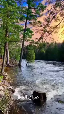 #صباح الخير 