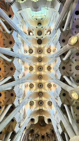 Sagrada Familia - Barcelona, Spain.🇪🇸  #fyp #cathedral #barcelona #spain #Love 