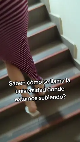 #tendencias #fyppppppppppppppppppppppp #nuevovideo #random #LIVEIncentiveProgram 