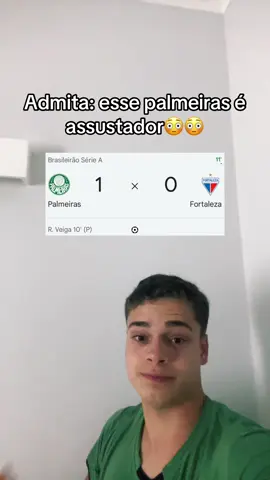#futebol #fypp #palmeiras 