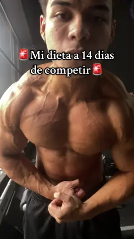 Mi dieta a 14 dias de competir! // Codigo TADEO para 10% de descuento en la pagina de entreno.com.ar #GymTok #bodybuilders #gymmotivation #foryoupage #nestum 
