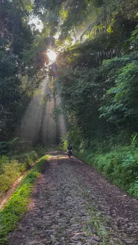 View pertamax ✨🔥🍃 #tukangulin #bandung #cicalengka #wisatakareumbi #wisatabandung 