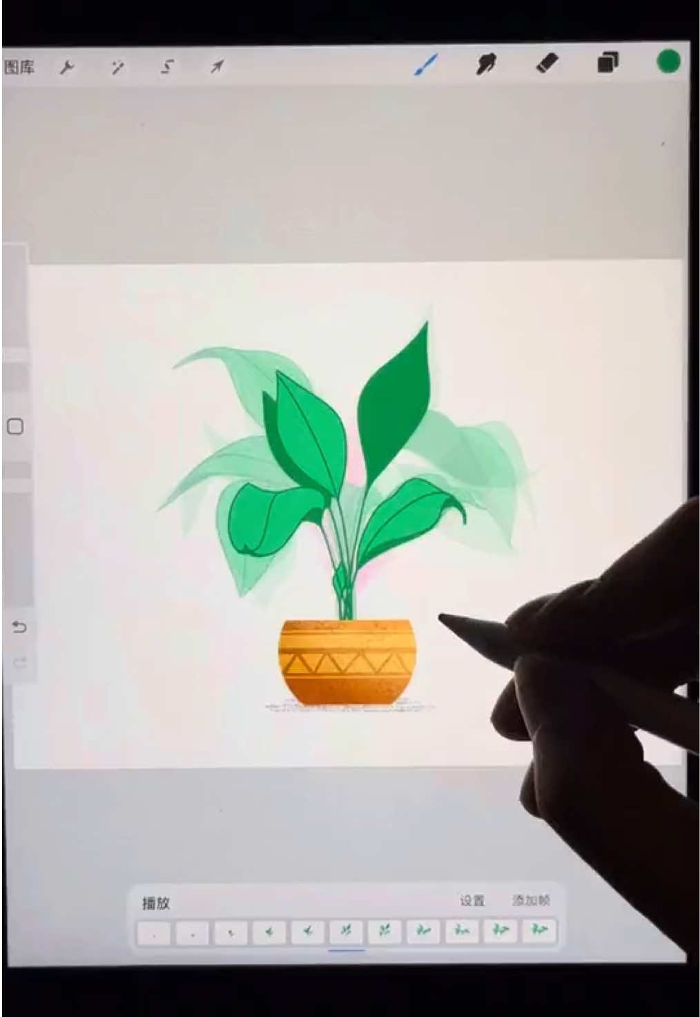 How to draw plant growth animation  #procreate #animate 