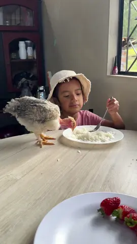 Comiendo arroz con pollo 🤣#reelsviralシ #comedy #viralchallenge #♡colocha♡ #chaparrita🥰❣ 