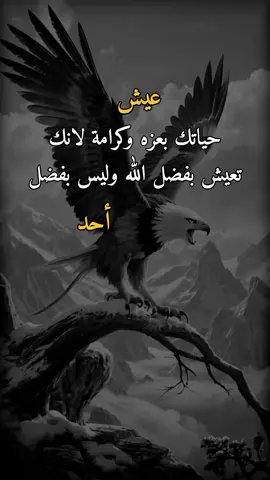 #تصميم_فيديوهات🎶🎤🎬 #وحـᬼـيـد⍣⃟🍷𓆩💔𓆪ᵛ͢ᵎᵖبدنيتيོ #اكسبلورررررررررررررررررررر💥🌟💥🌟💥💥🌟🌟🌟🌟🌟 