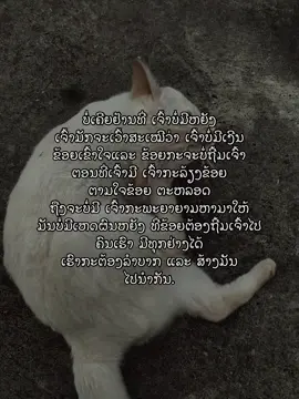 ສ່ວນ 102 #เทรนด์วันนี้tiktok #เธรดแทนความรู้สึก #สตอรี่ความรู้สึก #ดันขึ้นฟีดที #ยืมลงสตอรี่ได้ 