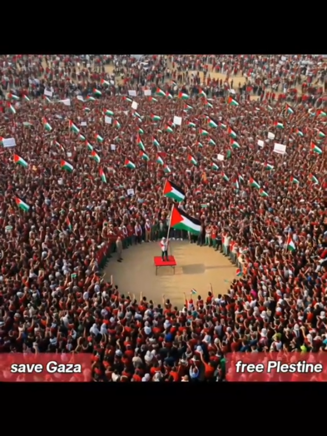 🌍 PBB Sahkan Palestina Sebagai Negara yang Sah #palestine #savepalestine #gaza #fyp #savegaza 