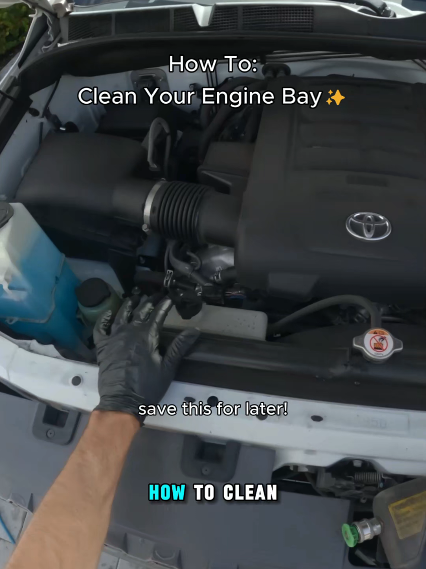 How To: Clean an engine bay - Book Now Everything I use is in my bio! ✅️ Ceramic Coating ✅️ Paint Correction ✅️ Full Details ✅️Odor Removal (305) 985-9227 If you're looking for the cheapest option keep looking. But if you want the best. You've found them. #detailing #satisfying #fyp #howto #tutorial