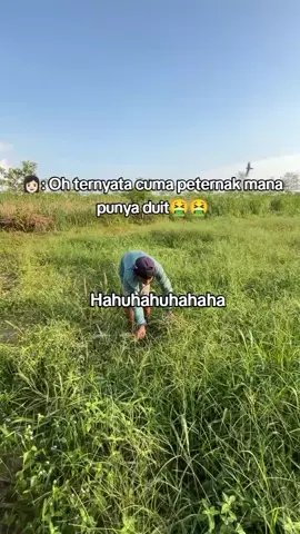 1 kata lucu🤭 #peternakmuda #sobatngaretnusantara🔥🔥🔥  #sapijumbo #kambing #berandafypシ 