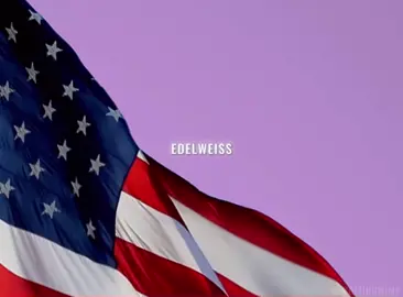 you must love your country enough to be disappointed by her ⤷ tags – #edits #edelweiss #america #usa 