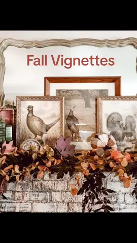 Cozy layers, warm hues, and timeless touches—fall decorating inspiration that makes home feel like a harvest haven 🍂✨