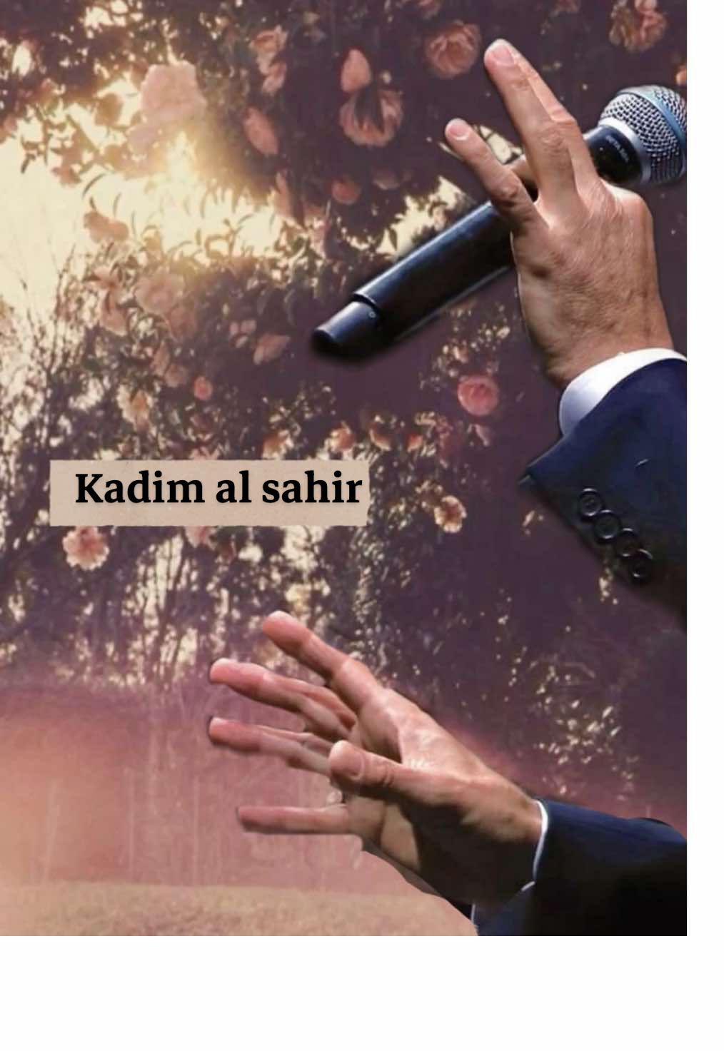 King🩶🩶. #kadimalsahir #كاظم_الساهر #مرت_على_بالي #حمدان_بن_محمد 