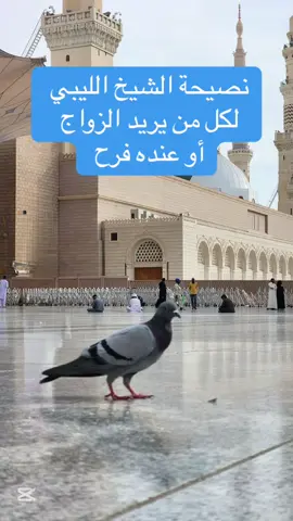 #CapCut #زليتن_ليبيا_زليتن_وأحلى_زليتن❤️🔥 ليبيه♥️🇱🇾 #بنغازي_طرابلس_ترهونه_رجمة_سرت_طبرق🇱🇾❤ #ليبيا_طرابلس #درنه_طبرق_مصر_ليبيا_بنغازي_طرابلس_جزائر 