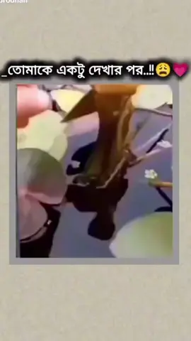 আমার তো কেউ নাইরে আমি তো সিঙ্গেল  #tren #kopi #fippppppppppppppppp #vairal_video #foryou 