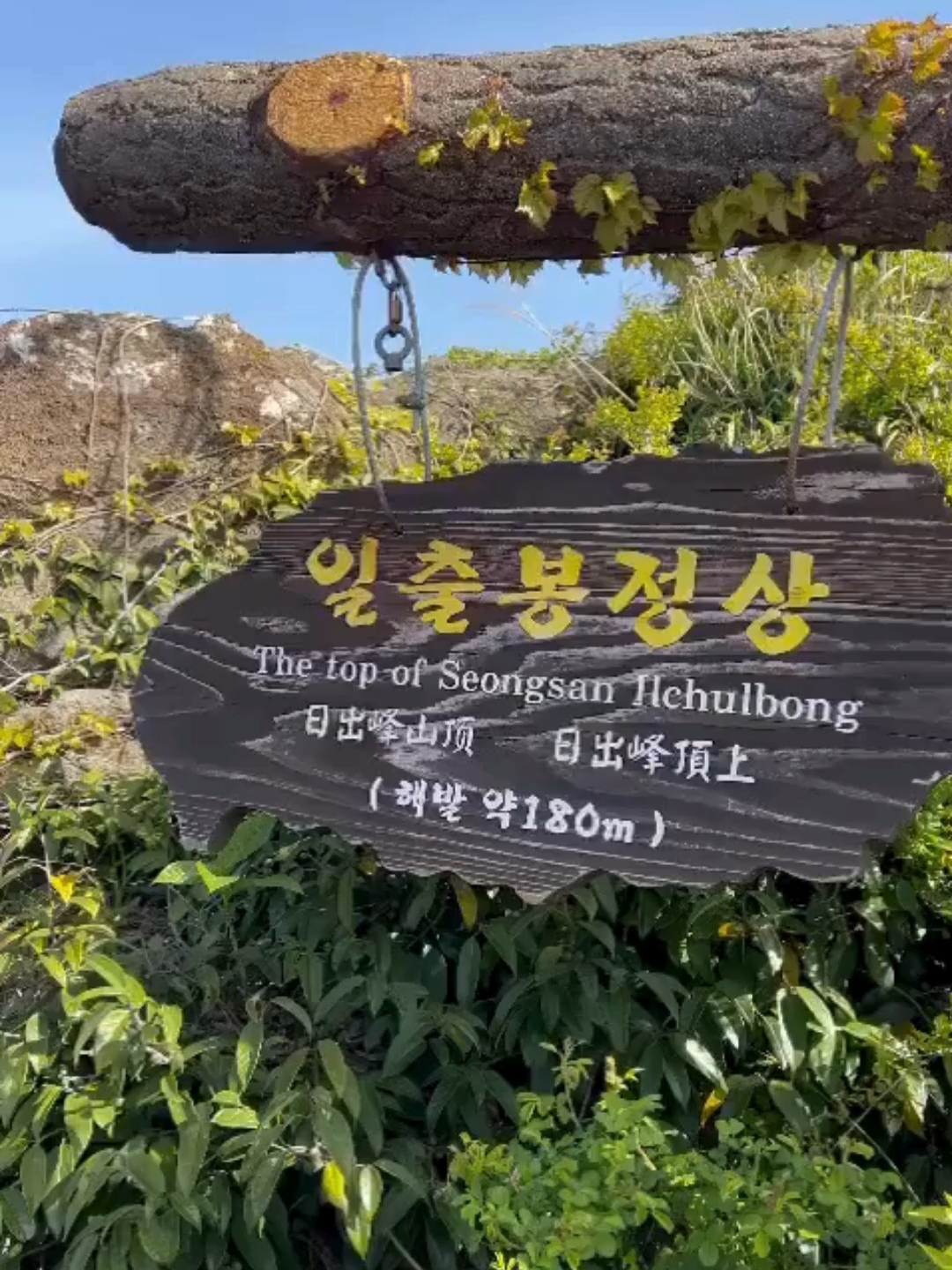 🌅 SEONGSAN ILCHULBONG – Onde o sol nasce sobre o mar! ✨ Imagine uma cratera vulcânica em forma de coroa saindo do oceano, com o sol nascendo entre nuvens coloridas e o mar infinito! 😍🌋 O Seongsan Ilchulbong (Pico do Nascer do Sol) em Jeju é um monumento natural da UNESCO e um dos espetáculos mais emocionantes da Ásia! 🔹 Nascer do sol único: Chegue às 5h para ver o céu ficar rosa, laranja e roxo! 🔹 Vista panorâmica: Do topo, veja o oceano, ilhas vizinhas e campos de canola amarelos na primavera! 🌼 🔹 Cultura local: Prove ouriços e abalone vendidos pelas mergulhadoras haenyeo! 🦪 📍 Já viu o sol nascer aqui? Conta como foi! 👇 💛 Salva e marca os amantes de paisagens dramáticas e culturas insulares! #SeongsanIlchulbong #Jeju #10k #Viagem #monetizartiktok #luxurylifestyle
