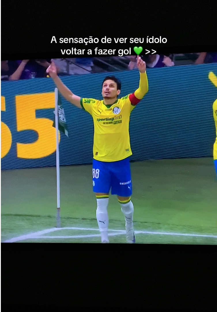 O Veiga vai voltar 👑💚 #palmeiras #raphaelveiga #palmeirasminhavidaevoce #futebolbrasileiro #fyp 