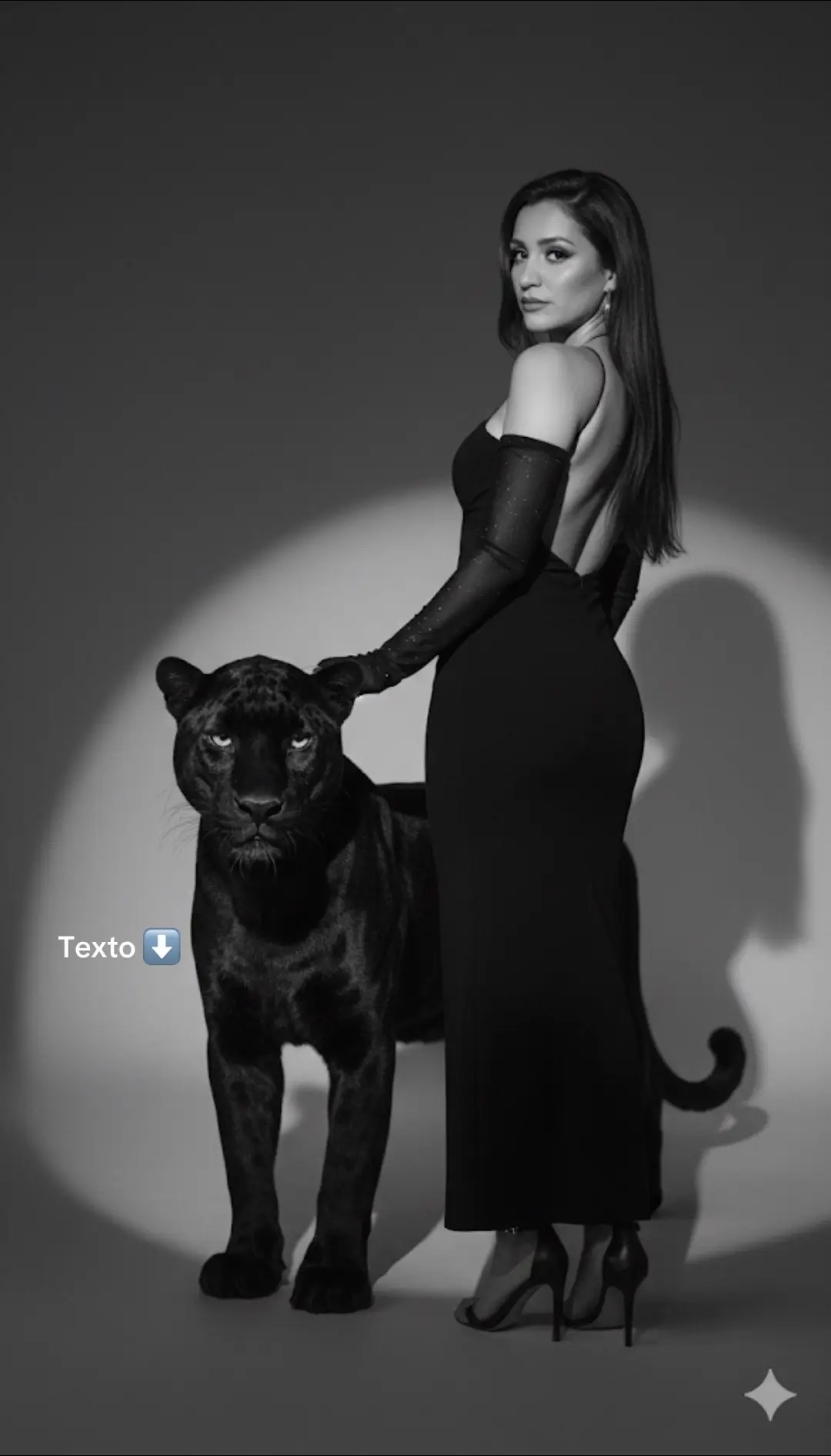 1. Entra a Google 2. Ve a Gémini 3. Pega el texto Basándome en mi foto, cree un elegante retrato de moda en blanco y negro de una mujer segura de sí misma. Lleva un elegante vestido apretado al cuerpo descotado en la espalda color negro con sandalias negras, que irradia satisfacción y poder, con una mascota pantera negra. Su larga y lisa cabellera negra fluye libremente, esta de espalda con una pantera negra y las dos miran al frente con una expresión serena y segura de sí misma. La dramática iluminación de estudio proyecta sombras intensas sobre un fondo liso, creando un look editorial atemporal y elegante. La chica tiene que estar de espalda mirando hacia la camara, la pantera de frente y la chica cogiendo a la pantera. Ayúdame a compartir @Gemini  #grmini #panther #tutorialgemini 