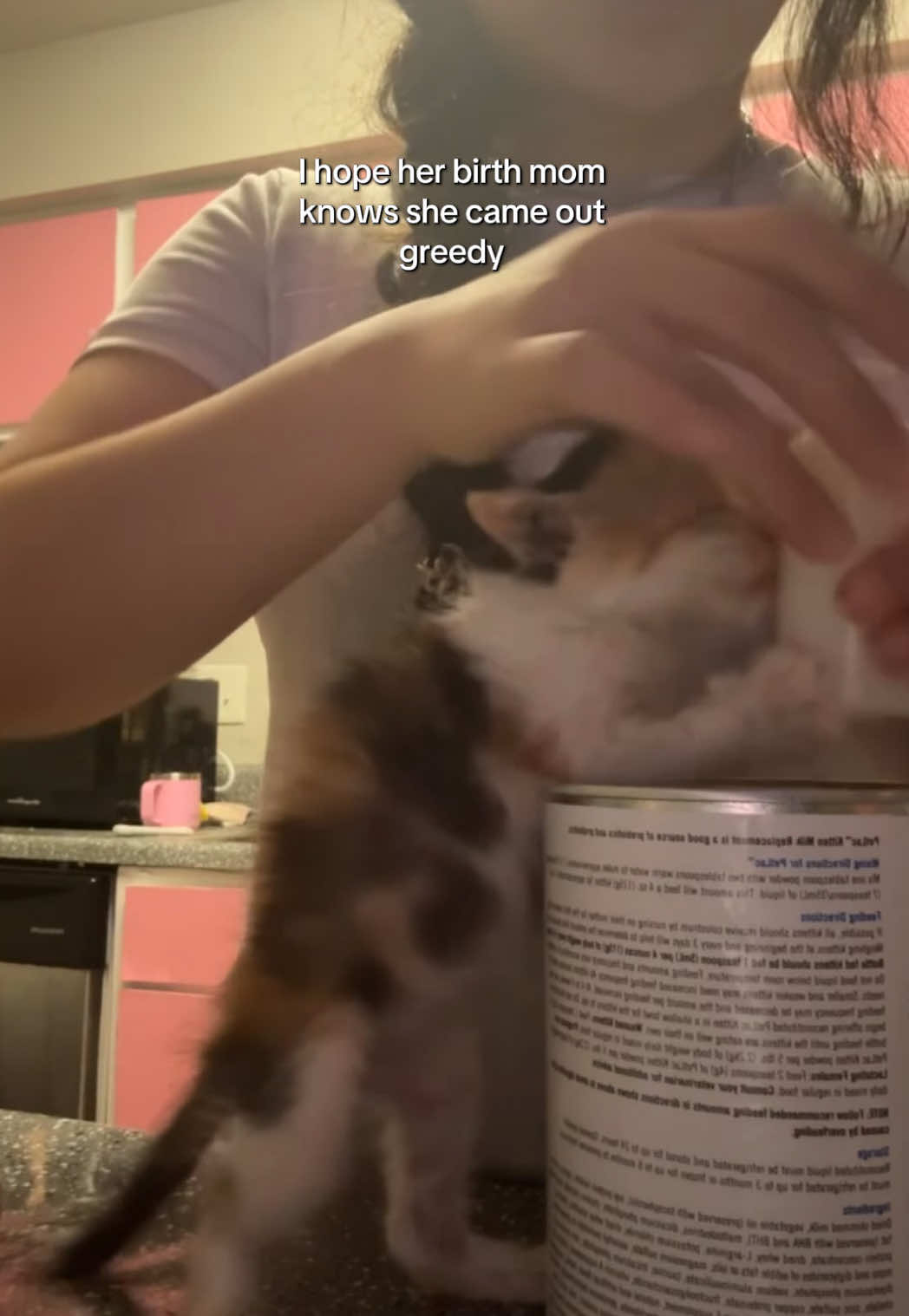 Her greed sickens me, but I’ll still feed her 🙂‍↕️ #catsoftiktok #humor  #babytok #kitten #cutecat 