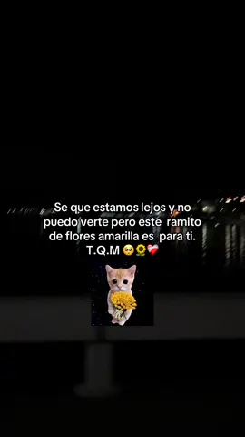 Hoy 20 de septiembre dia delas flores amarillas para dedicar🥺❤️‍🩹💛🌻#frases de#futbol⚽️#paratii#tiktok#wilsonneyjr foryuoo