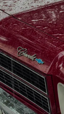 #opala #fyp #classico #carroantigo 