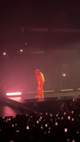 n word check in the Philippines 💅🏾 — NOID, CHROMAKOPIA PHILIPPINES #chromakopiatour #chromakopia #tylerthecreator #concert #fyp 
