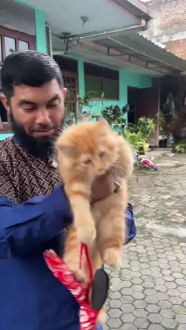 Pakai pupuk kandang juga bisa numbuh kok, pohonnya...🗿
