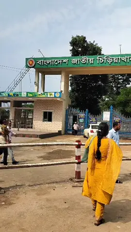 মিরপুর চিড়িয়াখানা #bangladesh🇧🇩 #foryoupage #tiktokviral 