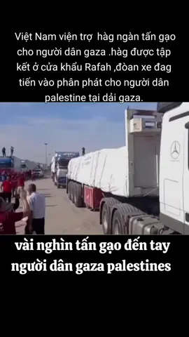 Việt Nam có ít quà nhỏ gửi đến người anh em palestines 🇻🇳❤️🇵🇸#vietnam #foryou #cuocsongthuongngay #xuhuong #cuocsongthuongngay 