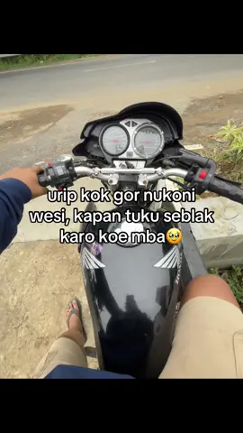 jak en nyeblak taa🙂#blakygank🚀 #galaubrutal #tigergank #gl200modifikasitiger #tigerpece 