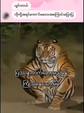#ဘယ်လိုလုပ်ရမလဲ #ti̇ktok #fypပေါ်ရောက်စမ်း😾👊fypシ #fyppppppppppppppppppppppp #foryoupage❤️❤️ 