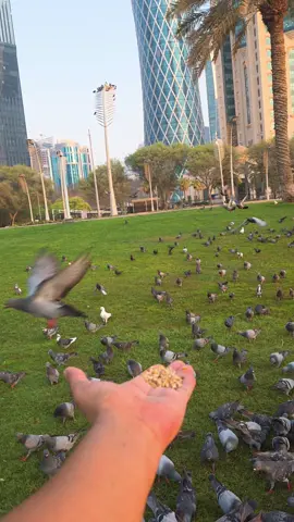#إن_أحسنتم_أحسنتم_لأنفسكم #قطر 