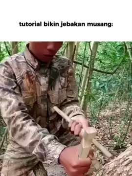 musang kejepit