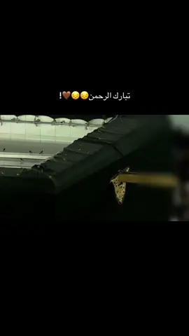 ﴿وَأَشۡرَقَتِ ٱلۡأَرۡضُ بِنُورِ رَبِّهَا﴾🤎 ‏لا نعيم كمثلِها! فجرية تفوق الوصف تبارك الله.. #ماهرالمعيقلي #قرآن #تلاوات #الحرم_المكي #ماهر_المعيقلي 
