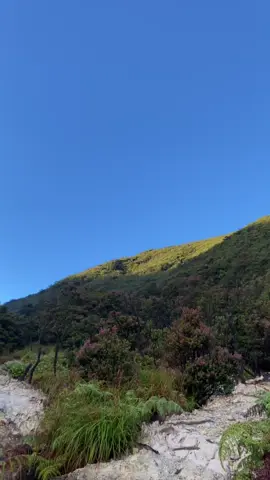 Papandayan dengan ke indahan nya😍🌋 #papandayan #gunung #pendaki #pemandangan #alam 