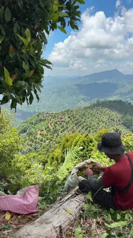 Sejuk, damai, tenang. Terimakasih untuk nikmat hidup yang kau titipkan tuhan😇 #petanibiasa 