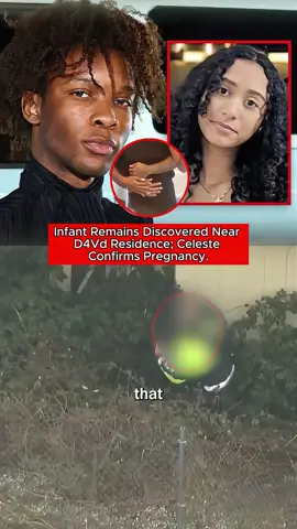 Infant remains discovered near d4vd residence; Celeste confirms pregnancy. #greenscreen#greenscreenvideo#ComfortSegredos#fyp#breakingnews