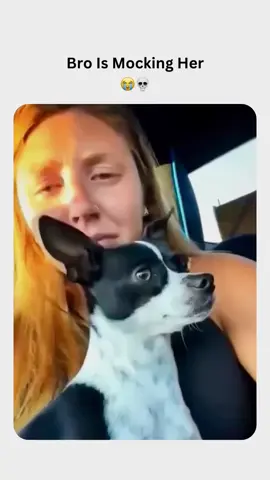 Do you even have enough to send me a little gift Please 🙏🥺❣️ #aurasekartika #trynottolaughchallenge #laugh #funnydogs #funny 